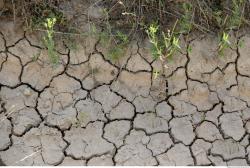 Photo Textures of Soil